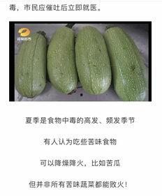 吃瓜網官網免費觀看 吃瓜網官網,免費觀看，暢享娛樂盛宴